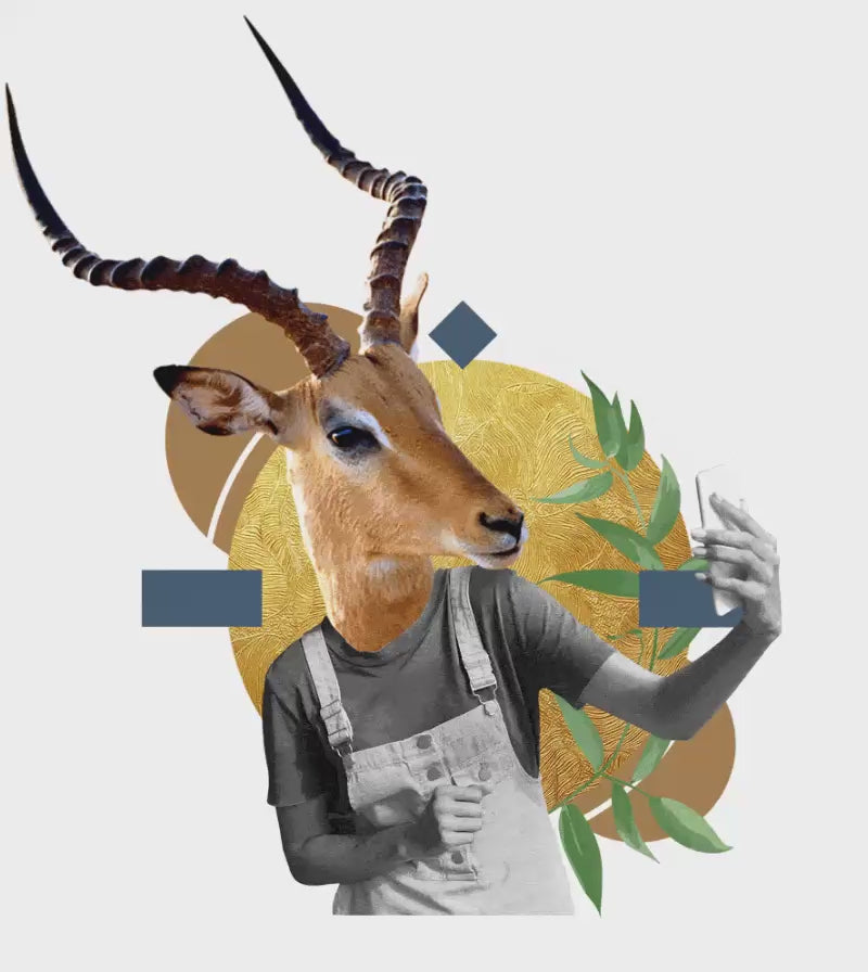 Impala Influencer Marketing